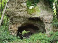 Bosco di Foragnano Travel Forum Reviews