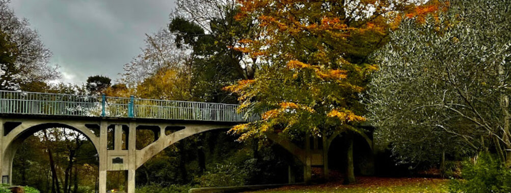 Boscombe Chine Gardens Travel Forum Reviews