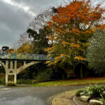 Boscombe Chine Gardens