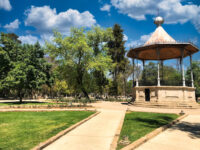 Bosque Cuauhtémoc Travel Forum Reviews