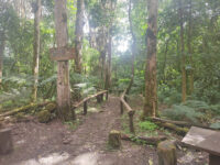 Bosque De Los Arrayanes Cuba Travel Forum Reviews