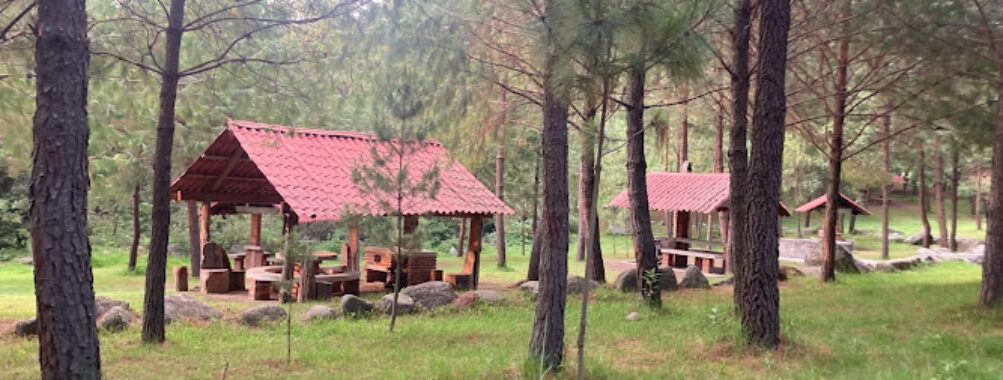 Bosque Esmeralda Travel Forum Reviews