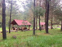 Bosque Esmeralda Travel Forum Reviews