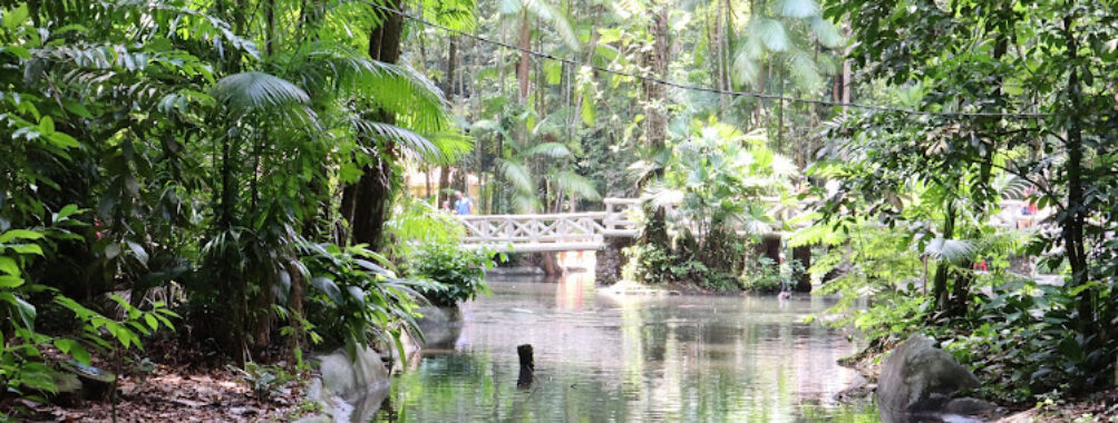Bosque Rodrigues Alves - Amazon Zoobotanical Garden Travel Forum Reviews