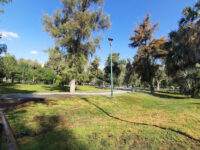 Bosque Venustiano Carranza Travel Forum Reviews