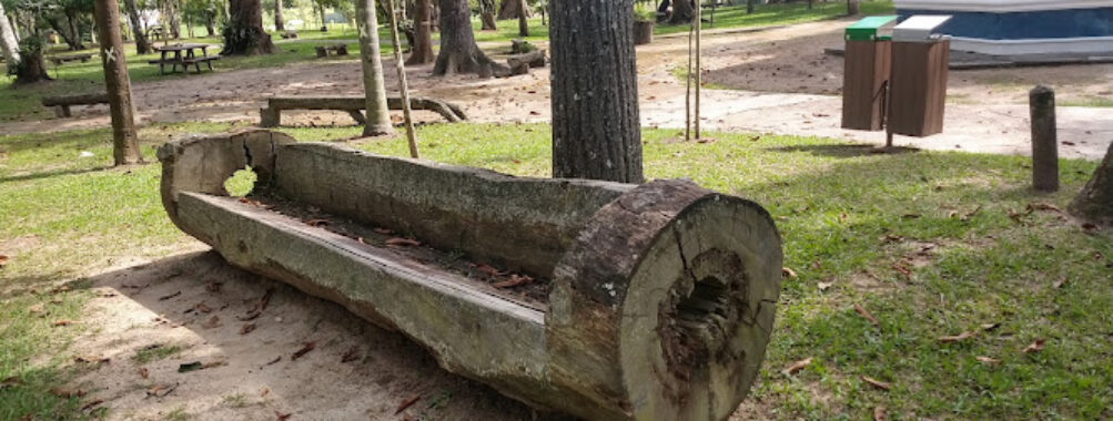 Bosque da Princesa Travel Forum Reviews