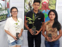 Bosque de Los Niños IDICAHSM Travel Forum Reviews