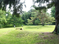 Botanic Garden Hokkaidō University Travel Forum Reviews