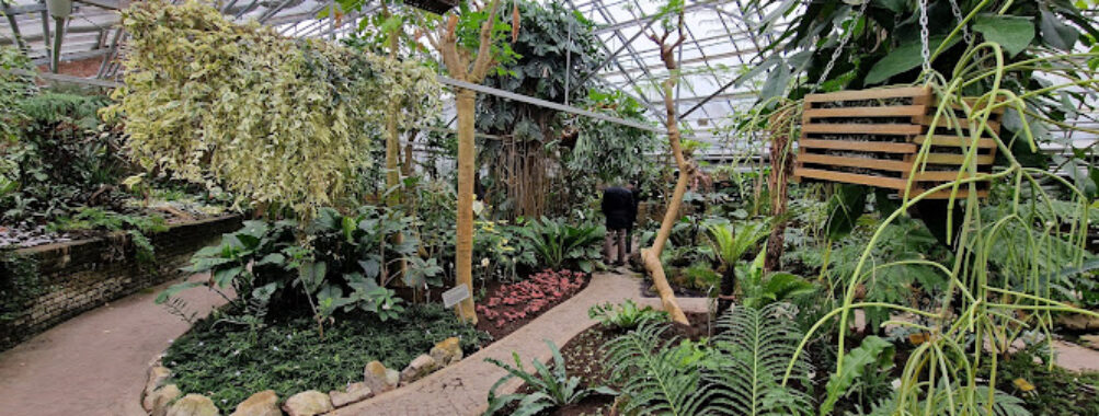 Botanical Garden Travel Forum Reviews