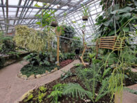 Botanical Garden Travel Forum Reviews