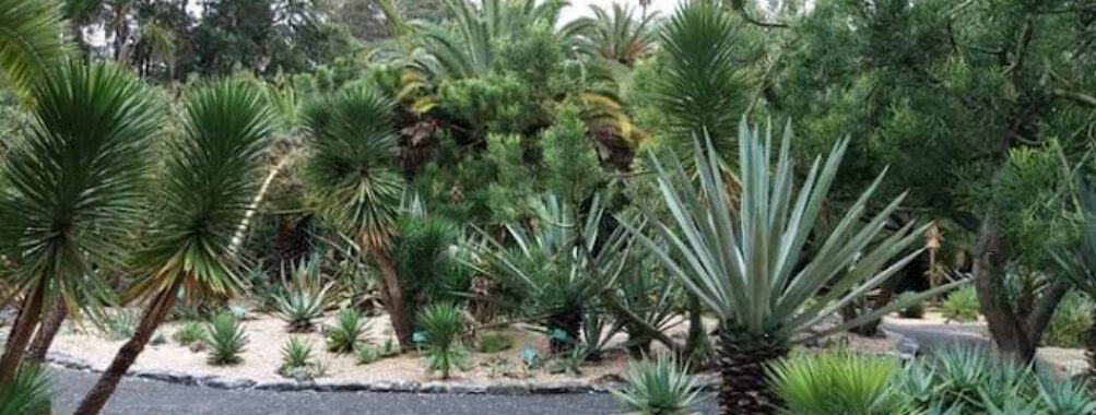 Botanical Garden Travel Forum Reviews
