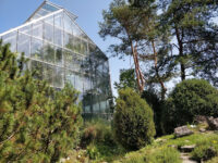 Botanični vrt Univerze v Ljubljani Travel Forum Reviews