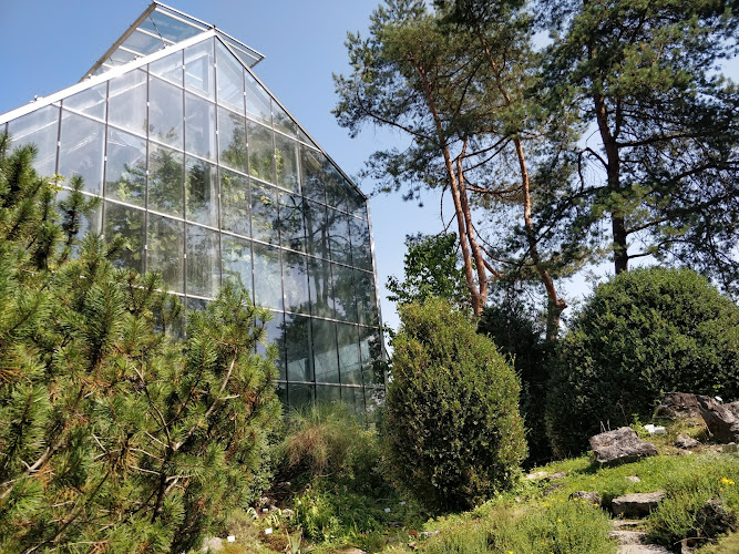 Botanični vrt Univerze v Ljubljani