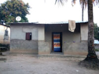 Bouar Travel Forum Reviews