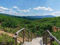 Boucharia Travel Forum Reviews