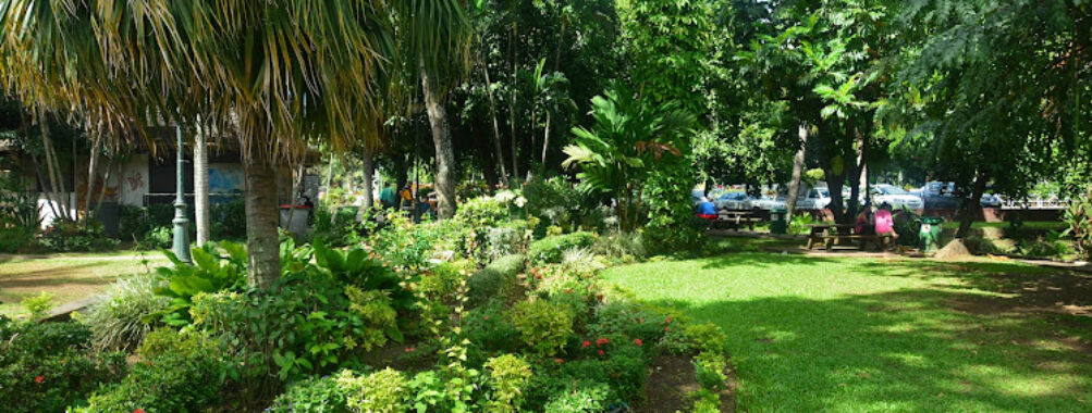 Bougainville Park Travel Forum Reviews