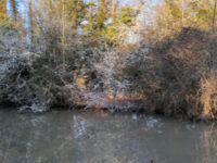Boughton Road Recreation Ground Travel Forum Reviews