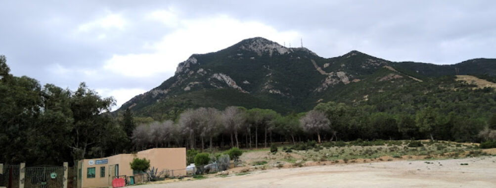 Boukornine National Park Travel Forum Reviews