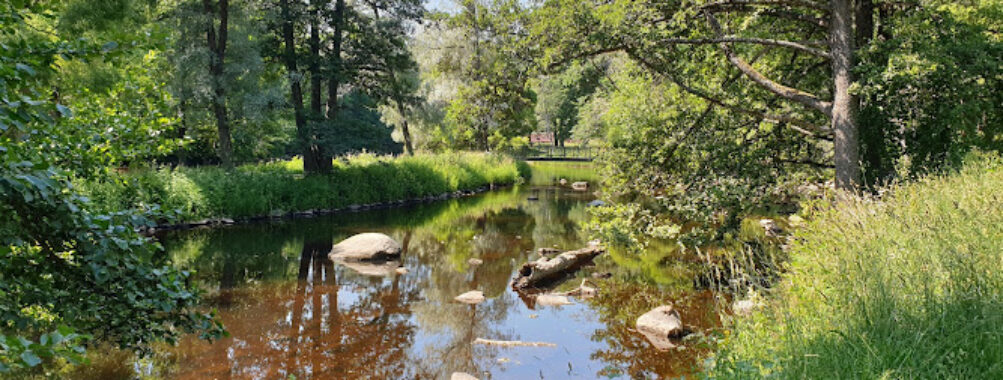 Boulognerskogen Travel Forum Reviews