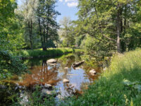 Boulognerskogen Travel Forum Reviews