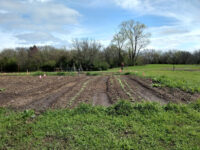 Bowling Green Park and Community Garden Travel Forum Reviews