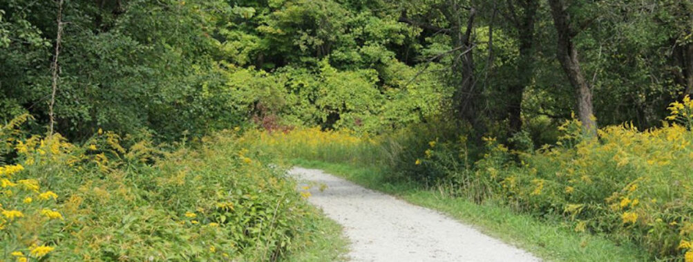 Boyd Conservation Park Travel Forum Reviews