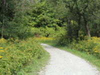 Boyd Conservation Park Travel Forum Reviews