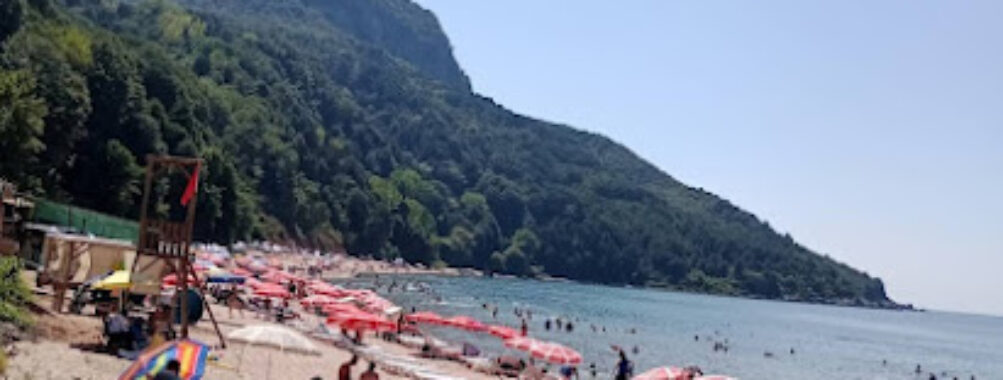 Bozköy Plajı Travel Forum Reviews