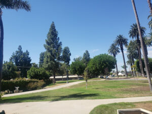 Bradford Park