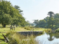 Bradgate Park Travel Forum Reviews