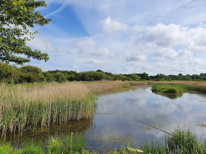 Brandon Marsh Nature Reserve