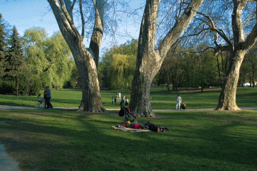 Bratislava's Kid-Friendly Venues