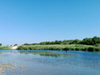 Braulio Fernandez Ecological Park Travel Forum Reviews