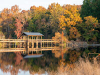 Brick Pond Park Travel Forum Reviews