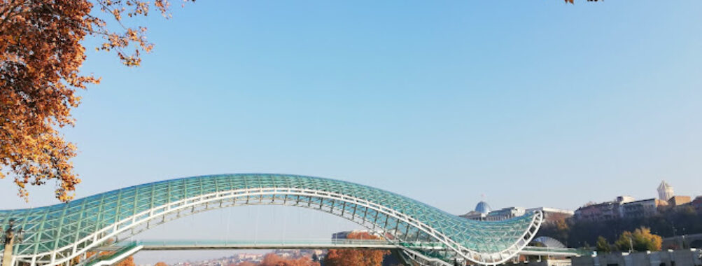 Bridge of Peace Travel Forum Reviews