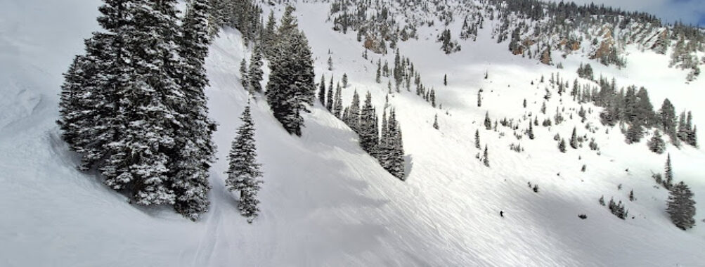 Bridger Bowl Ski Area Travel Forum Reviews