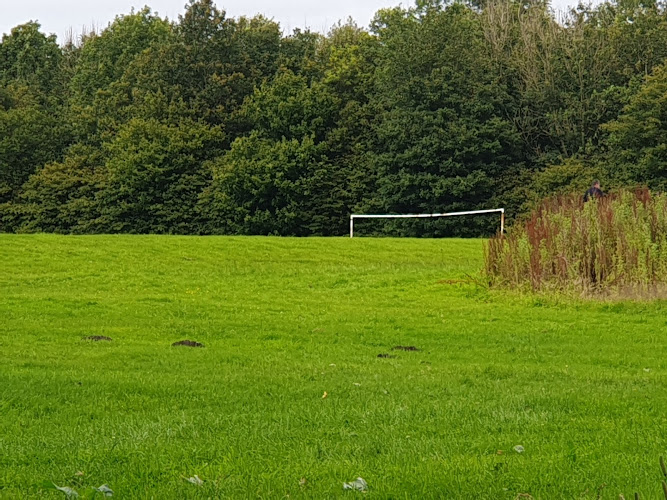 Briercliffe Park