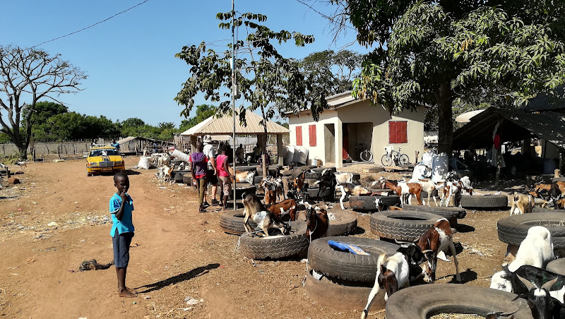 Brikama Craft Market