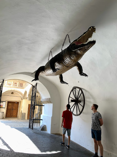 Brno Dragon