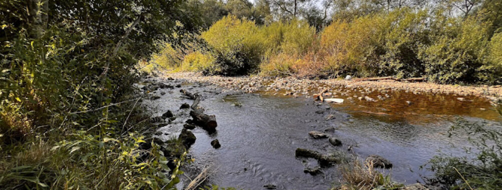 Broken Scar Weir Travel Forum Reviews
