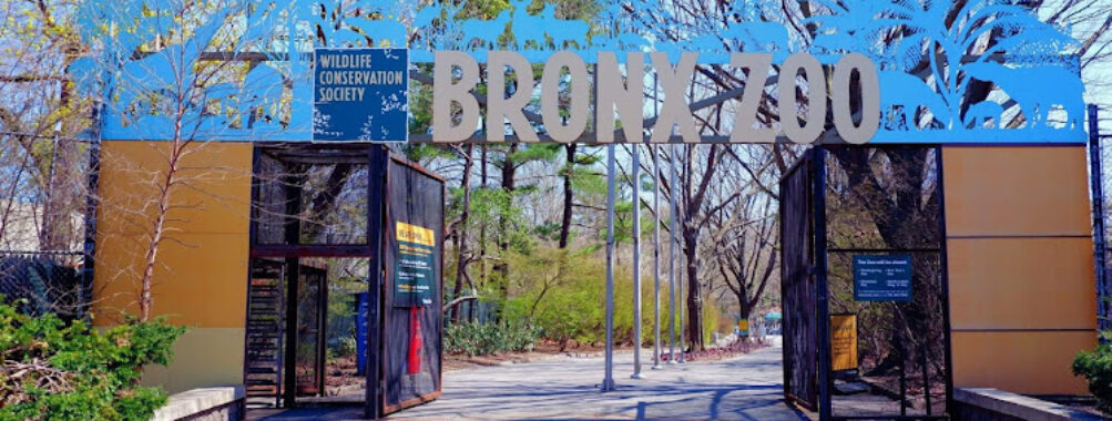 Bronx Zoo Travel Forum Reviews