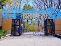 Bronx Zoo Travel Forum Reviews
