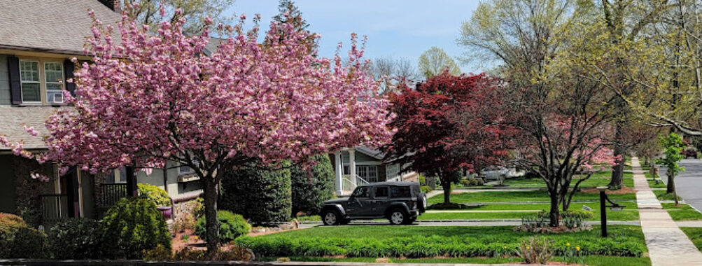 Brookdale Park Travel Forum Reviews