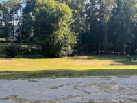 Brookhaven Park Travel Forum Reviews