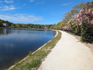 Brookline Reservoir Park