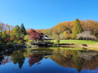 Brookside Gardens Travel Forum Reviews