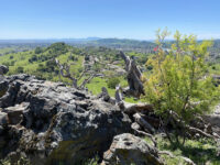Browns Valley Open Space Preserve Travel Forum Reviews