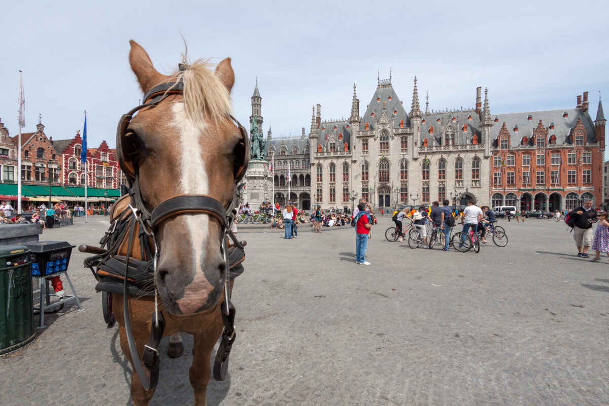 Free History & heritage guided walking tour of Bruges Review