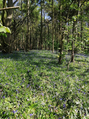 Brumby Wood Local Nature Reserve