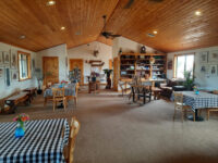 Bruzzi Vineyard Travel Forum Reviews